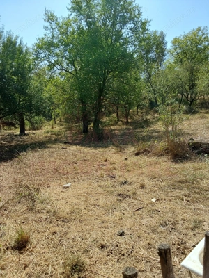 CASĂ IABLANIȚA  7 CAMERE \JUD. CS - imagine 16