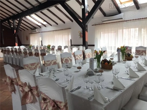Super Vila ,  perfecta  pentru o Pensiune  Hotel cu Restaurant - imagine 18