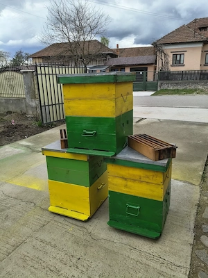 Vând cutii stupi albine 