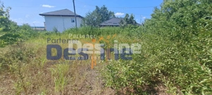 TEREN INTRAVILAN 1680 MP , MIROSLAVA CENTRU  - imagine 3