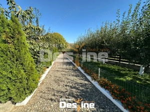 Tătărusi - Proprietate spațioasă cu potențial turistic în Bucovina Mică