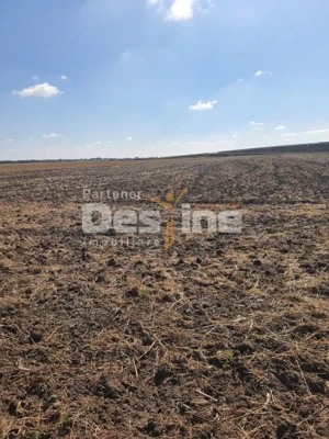 TEREN  EXTRAVILAN 7.802 mp –DOMNESTI, ILFOV