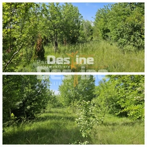 Tomesti-Chicerea, teren intravilan  3523 mp