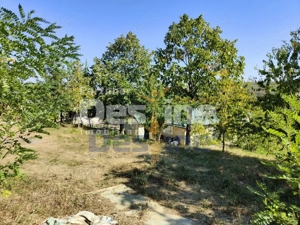 Casă lângă PĂDURE + anexe + 6400 mp TEREN intravilan - sat HĂRPĂȘEȘTI