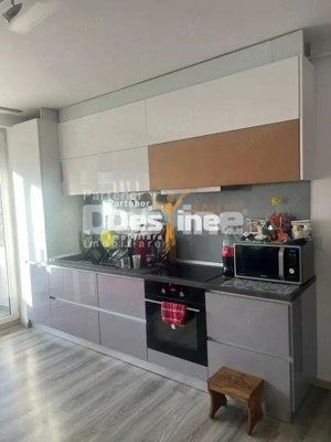 Apartament 2 camere, Baia Mare, Victor Babes, decomandat, mobilat, etaj 8 /10 - imagine 4