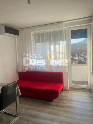 Apartament 2 camere, Baia Mare, Victor Babes, decomandat, mobilat, etaj 8 /10 - imagine 10