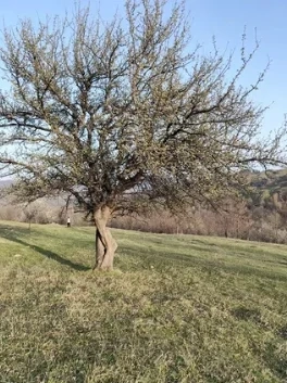 Teren intravilan Sotrile view superb Barajul Paltinu