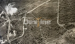 Teren de Vânzare – 34.485 mp | Câmpulung Muscel | Zonă Panoramică & Dezvoltare