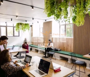 Calea Victoriei I Vila Monument Istoric I Consolidata si Renovata