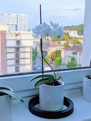 Birou individual - Centrul Civic - mobilier și utilități incluse in preț  - imagine 2