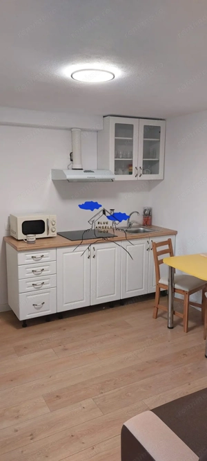 Garsoniera, PET FRIENDLY - 30 mp - zona AFI Mall - imagine 2