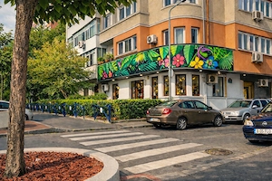 Se vinde Florarie complet amenajata, gata de lucru - Bv. Dimitrie Cantemir, Sector 4, Bucuresti