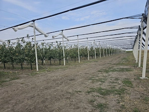 De vanzare agricultura pomicultura oportunitate platforma agro industrială ferma agricola  - imagine 5