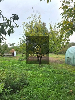Teren 6762 mp +casa Les - imagine 9