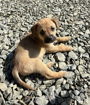  Nu cerem mult  doar o șansă.  - imagine 2