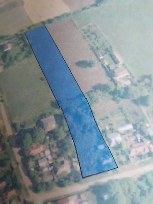 Teren intravilan Comuna Dascălu Sat Gagu Ilfov 