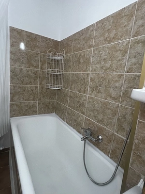 iancului obor etaj 2 - imagine 8