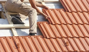 executam orice lucrare  - imagine 5