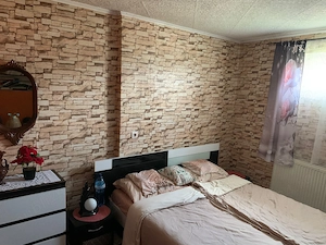 Casă de vânzare Pecica - imagine 5