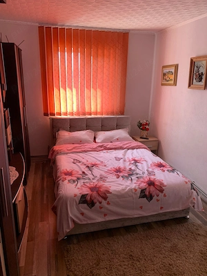 Casă de vânzare Pecica - imagine 6