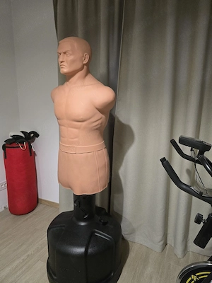 Manechin box Century BOB XL