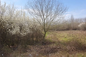 Teren intravilan, 1080 mp, Lipova - imagine 2