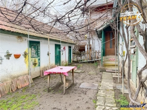 Casa traditionala, cu 709 mp teren intravilan zona apreciabila, Sfantu Gheorghe - imagine 20