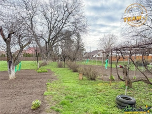 Casa traditionala, cu 709 mp teren intravilan zona apreciabila, Sfantu Gheorghe - imagine 6