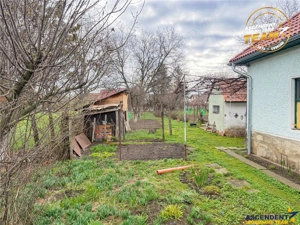 Casa traditionala, cu 709 mp teren intravilan zona apreciabila, Sfantu Gheorghe - imagine 11