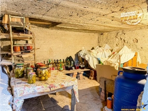 Casa traditionala, cu 709 mp teren intravilan zona apreciabila, Sfantu Gheorghe - imagine 17