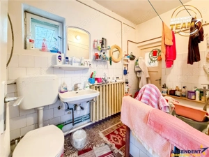 Casa traditionala, cu 709 mp teren intravilan zona apreciabila, Sfantu Gheorghe - imagine 14