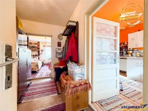 Casa traditionala, cu 709 mp teren intravilan zona apreciabila, Sfantu Gheorghe - imagine 7