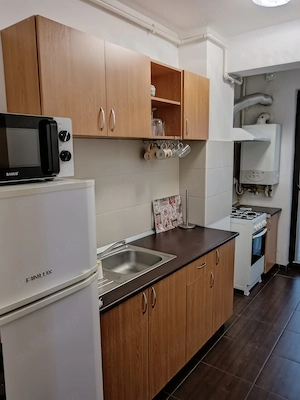 Dau în chirie apartament cu 1 cameră, Mănăștur, Flora Parc - imagine 10