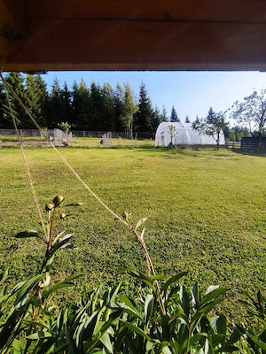 Proprietate de excepție în orașul Vatra Dornei - imagine 2