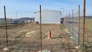 VÂND HALĂ METALICĂ 175mp + TEREN   900 MP | deschidere la 2 drumuri - imagine 5