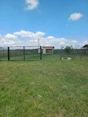 Vând teren - imagine 3