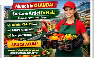 Se caută 4 cupluri la sortat de ardei