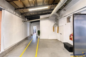 Complex industrial modern, acces dublu, potential apreciabil, Valea Crisului, Sfantu Gheorghe - imagine 10