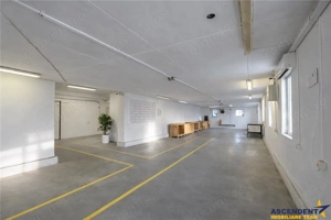 Complex industrial modern, acces dublu, potential apreciabil, Valea Crisului, Sfantu Gheorghe - imagine 9