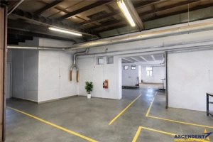 Complex industrial modern, acces dublu, potential apreciabil, Valea Crisului, Sfantu Gheorghe - imagine 15