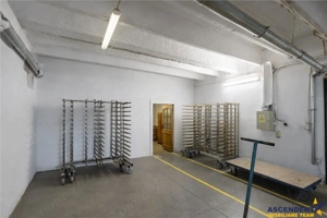 Complex industrial modern, acces dublu, potential apreciabil, Valea Crisului, Sfantu Gheorghe - imagine 12