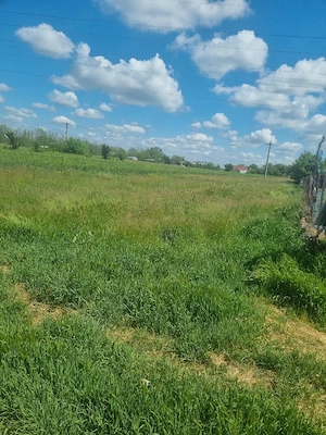 Teren Tartasesti - imagine 5