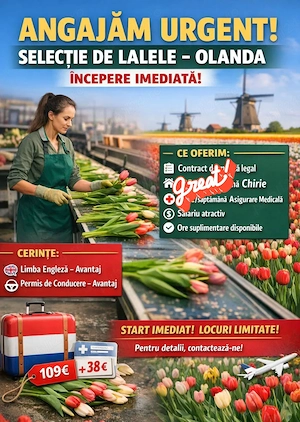 Se caută 4 cupluri la sortat de.flori 