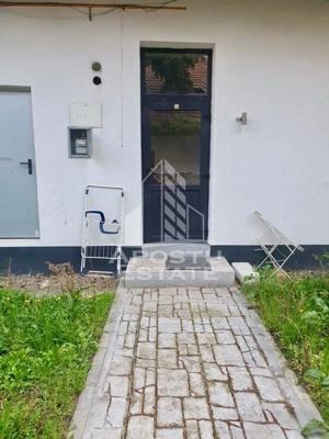 Apartament 1 camera de vanzare, curte comuna, zona Traian, Timisoara - imagine 4