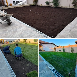 Amenajare si intretinere Spatii Verzi - imagine 5