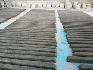 spalieri de vie si gard - imagine 3