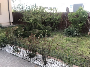 Vila de vanzare in Pipera - imagine 2