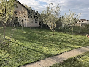 Vila de vanzare in Pipera - imagine 3