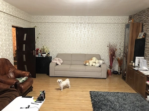 Vila de vanzare in Pipera - imagine 9