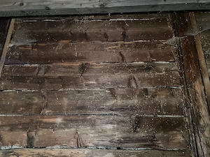 Casa batraneasca pentru relocare - imagine 3